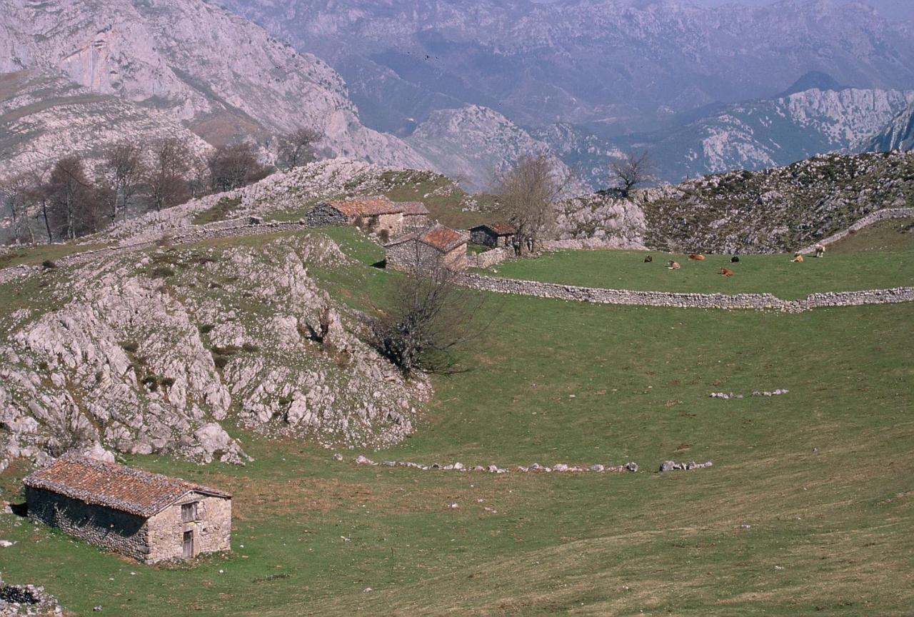 Hotel Picos De Europa Arenas De Cabrales Exterior photo